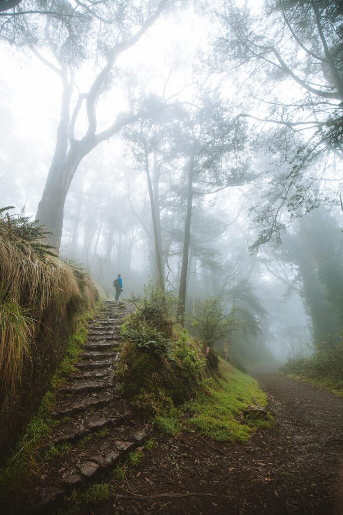 misty morning hike at Mount Davidson