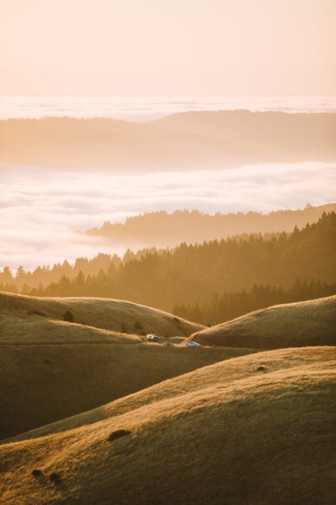 Cars stop and enjoy the rolling fog at Mount Tamalpais State Park