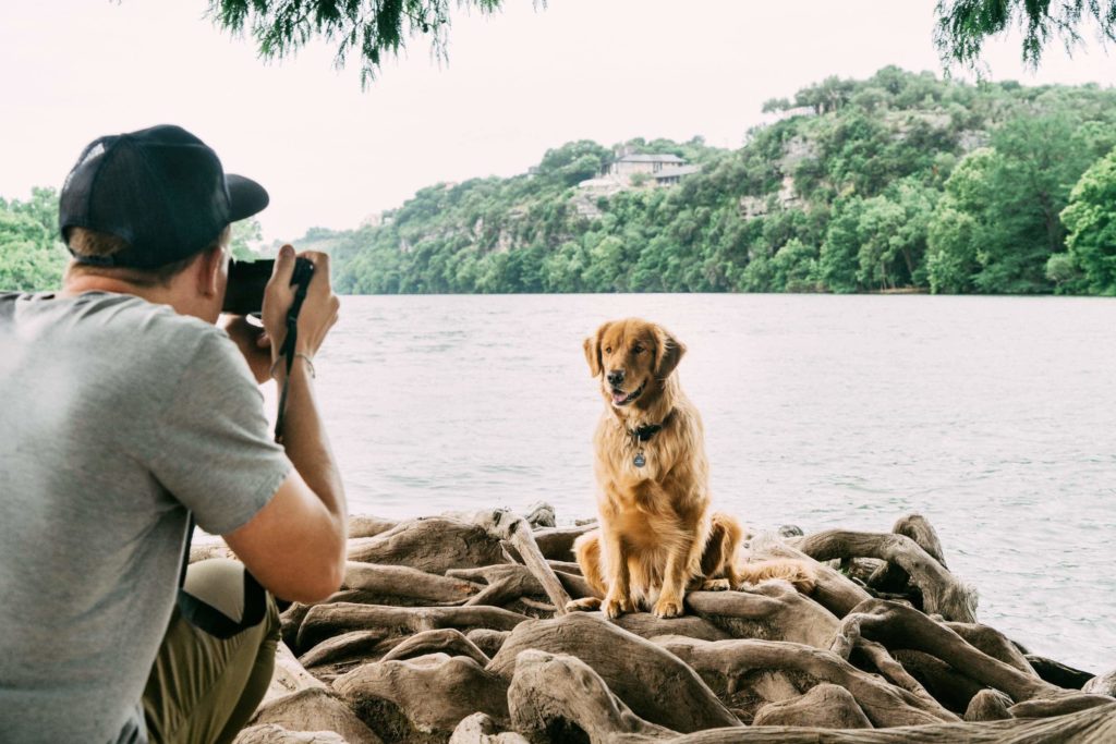 Photographer taking photo of dog.