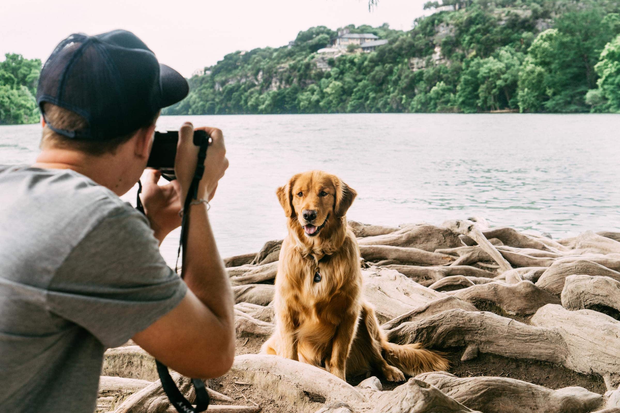 how-to-take-better-photos-of-your-dog-focus-blog