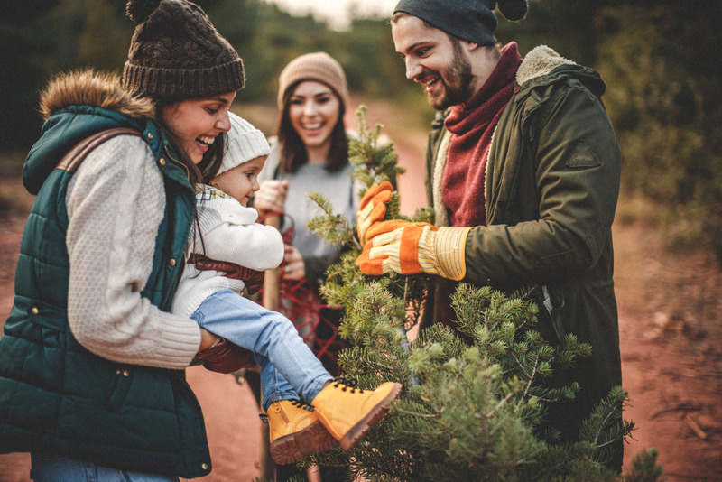 Train rides, tree farms, and more for Christmas photo ideas