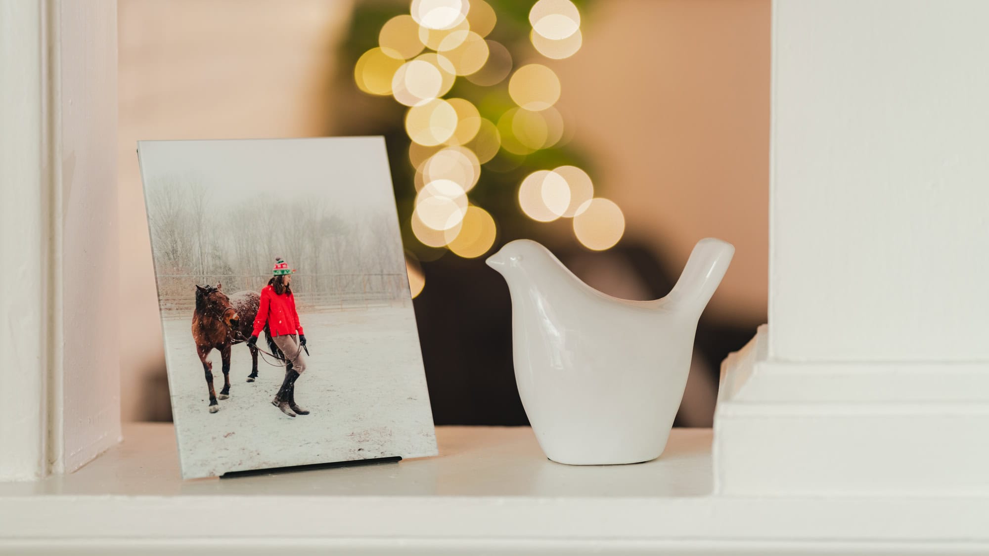 winter photography tips