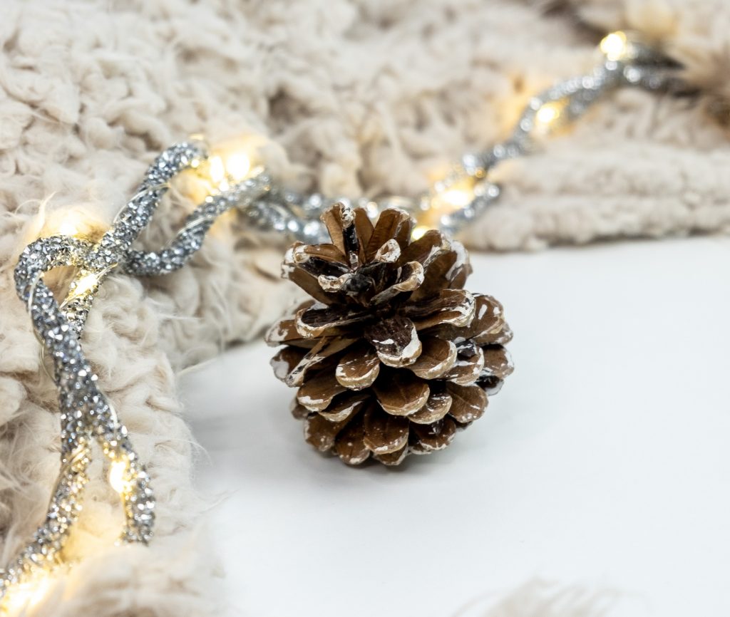 winter pinecone and lights