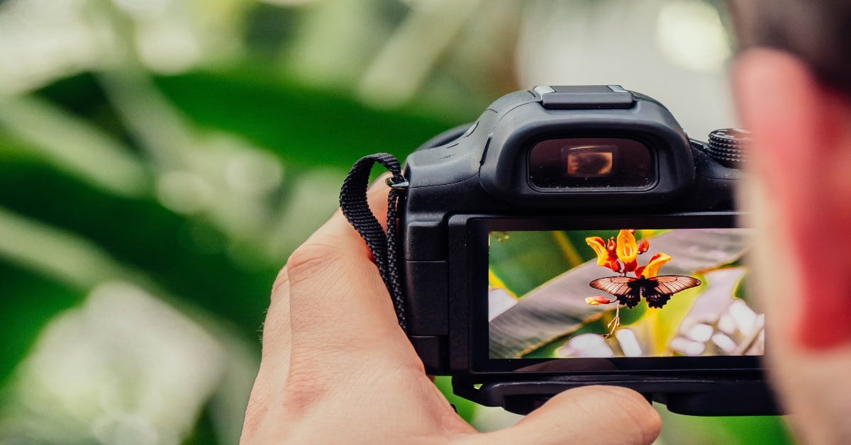 settings for outdoor photography