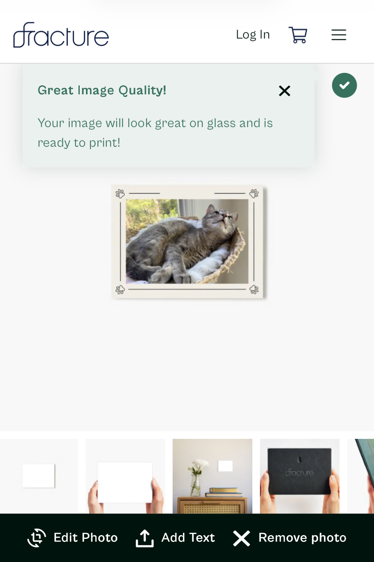 A cute cat photo uploaded on the Fracture Pet Parent Template customizer.