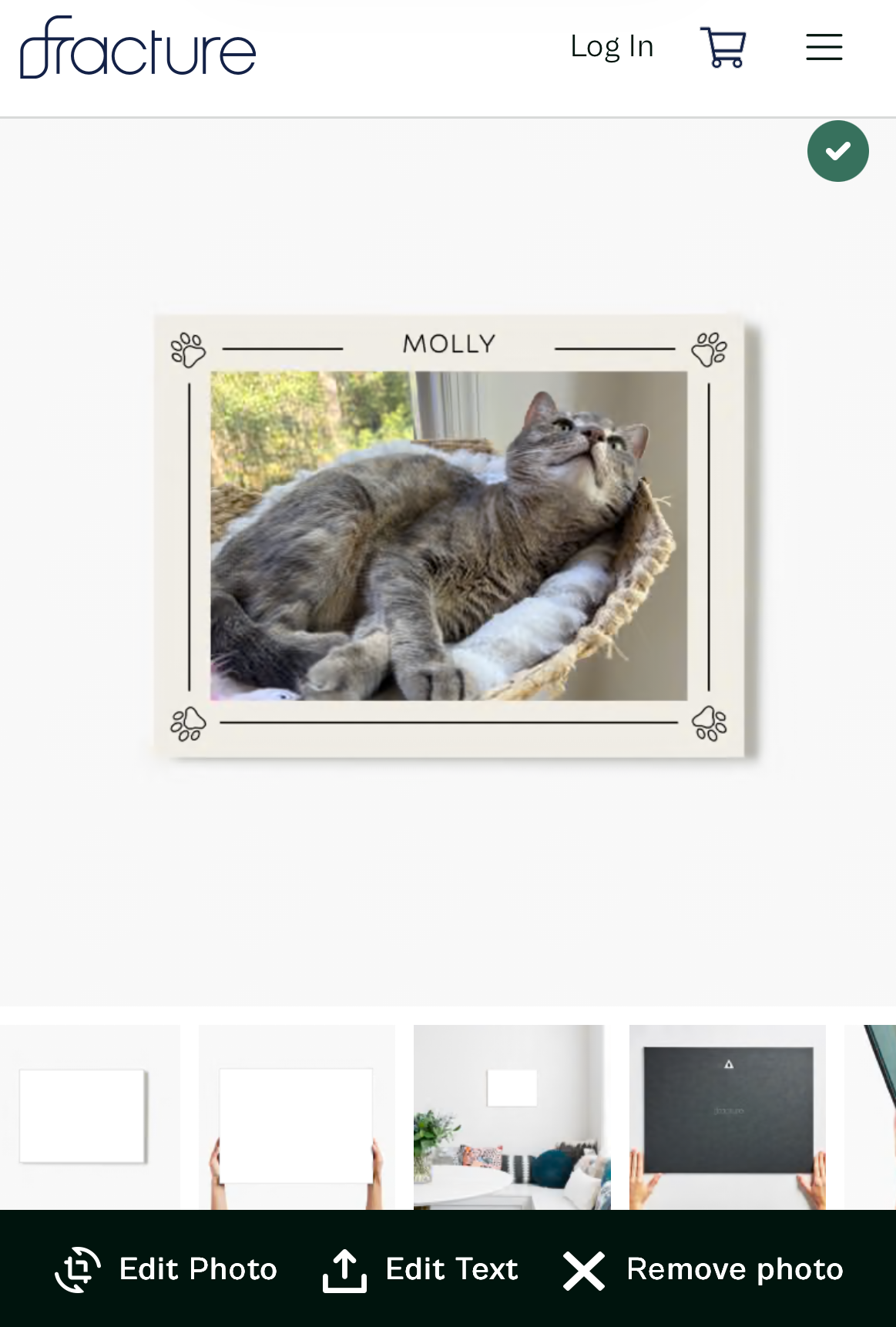 Fracture's Pet Parent Template Custom Text displays the pet's name in the border above the photo of the cat, all printed on glass.